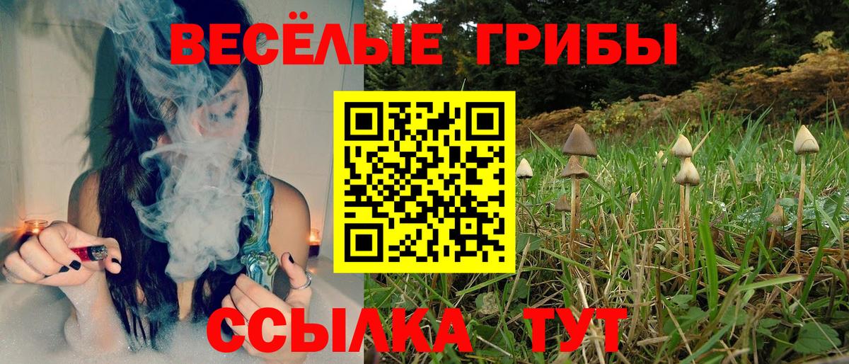 Псилоцибиновые грибы GOLDEN TEACHER  Вход с VPN  Галлюциногенные грибы GOLDEN TEACHER  Чапаевск 
