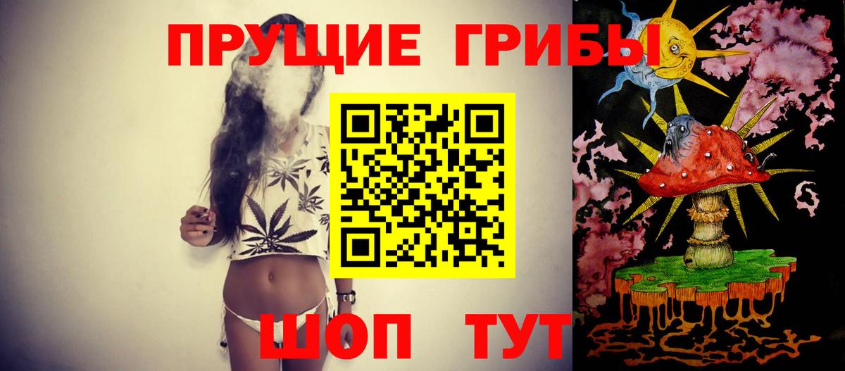 Псилоцибиновые грибы мицелий Чапаевск